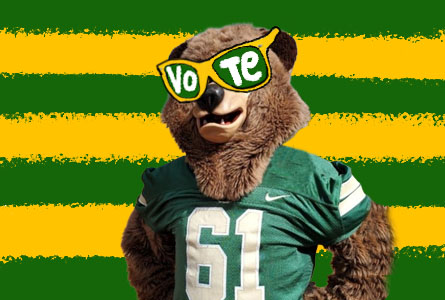 Bear wearing Vote sun-glasses