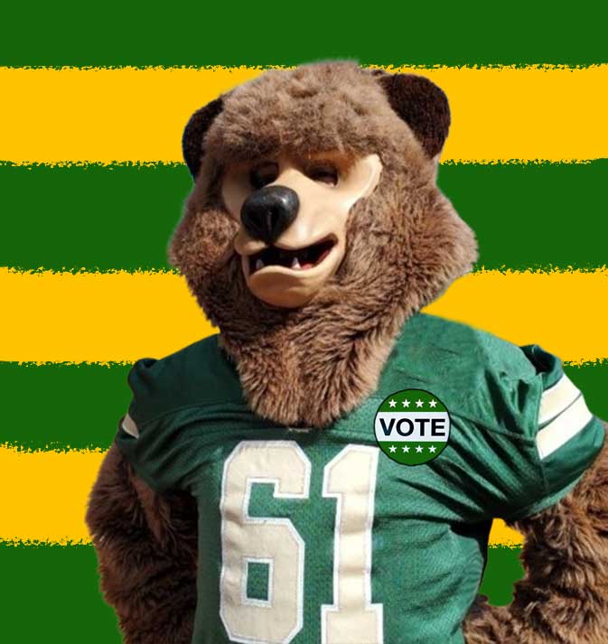 Bear with a Vote Pin