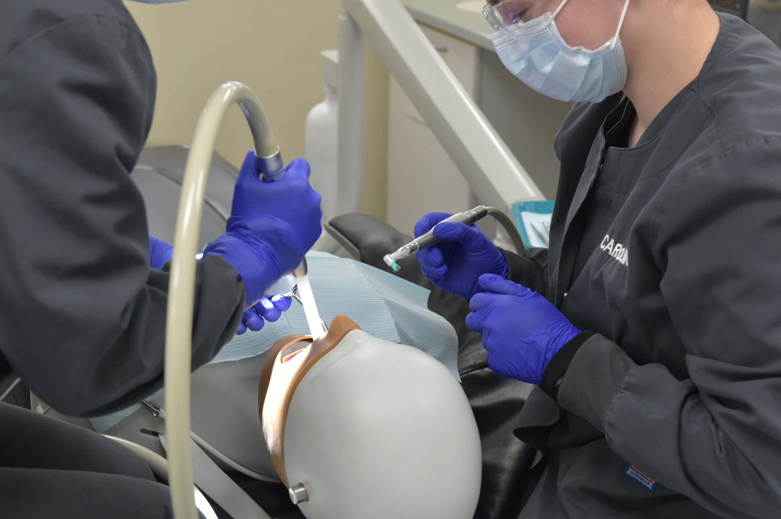 Student coronal polishing the  manikins  teeth