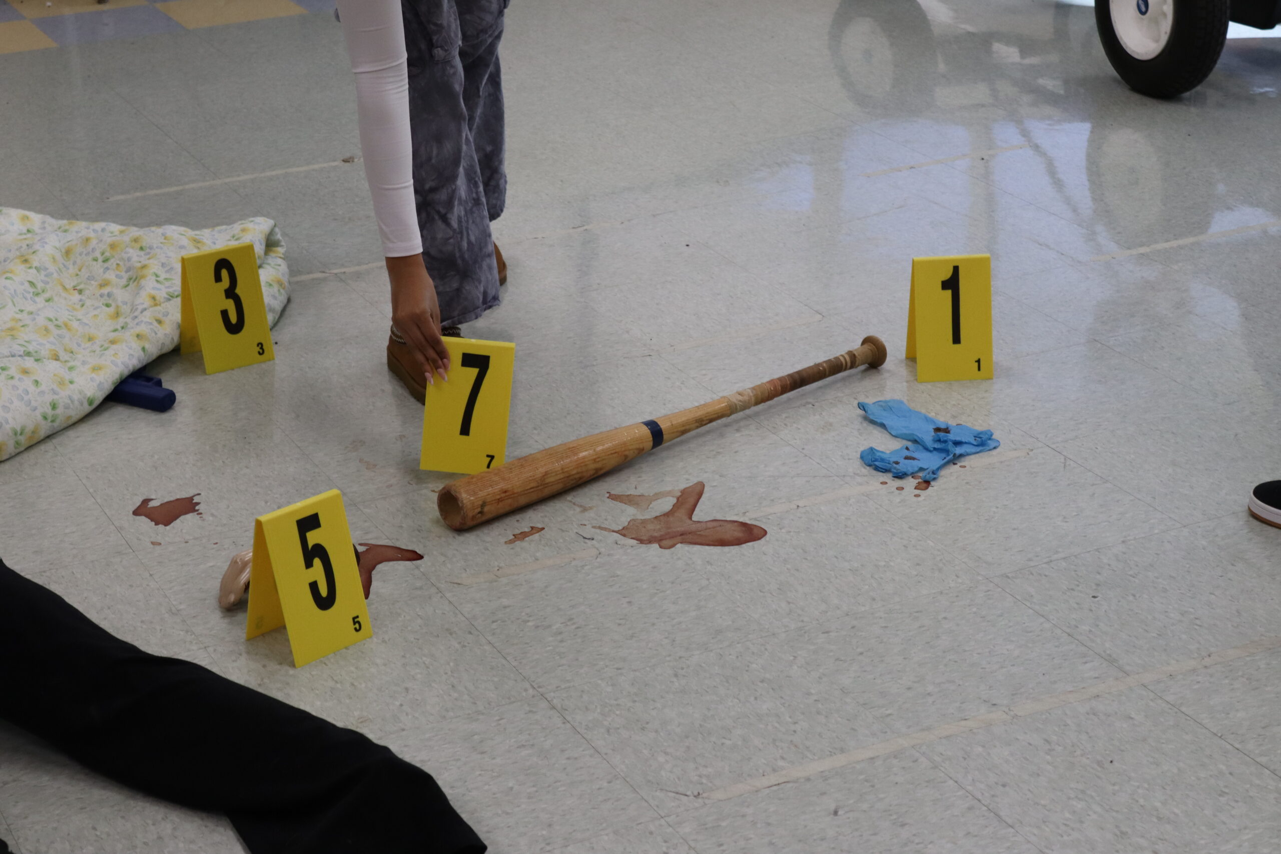 A student placing down a photo evidence marker on a piece of evidence at a fake crime scene.